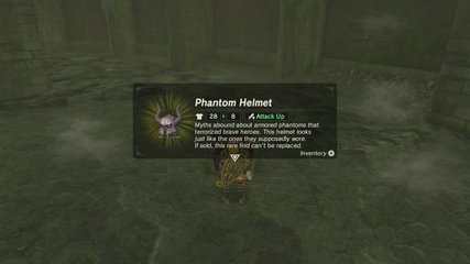 Phantom Helmet